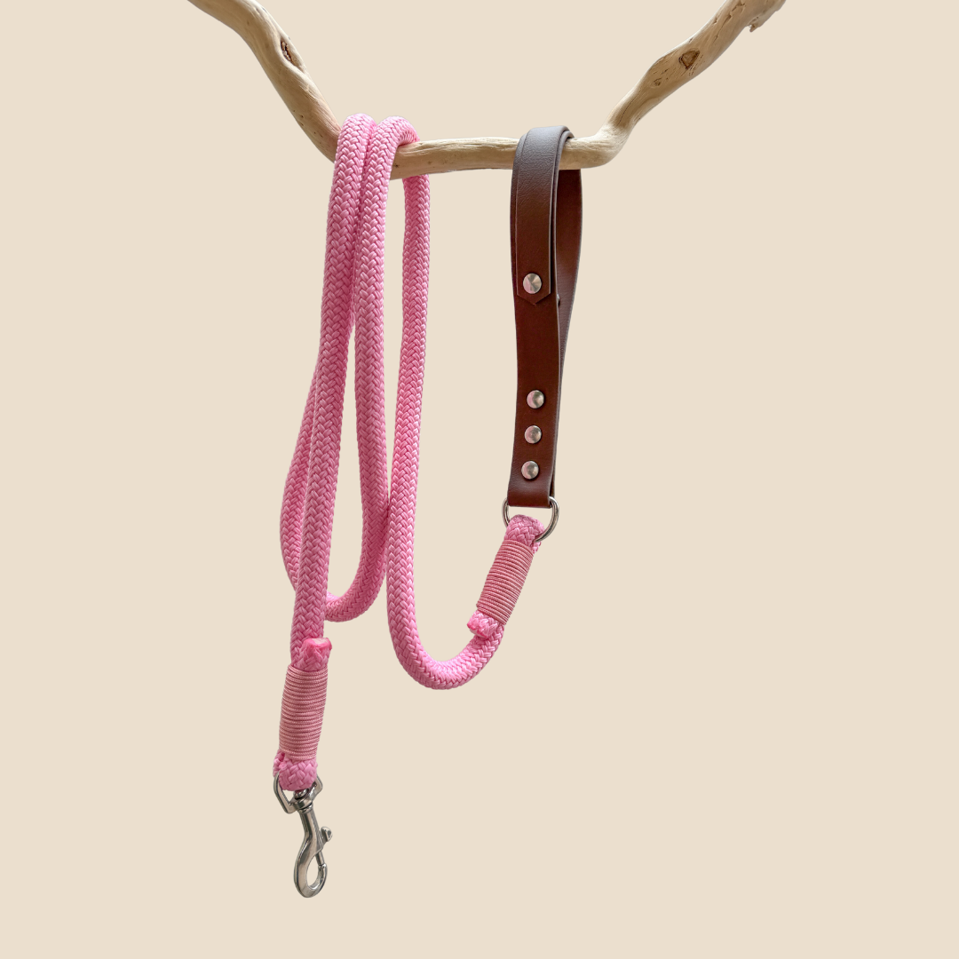 Laisse en biothane et paracorde