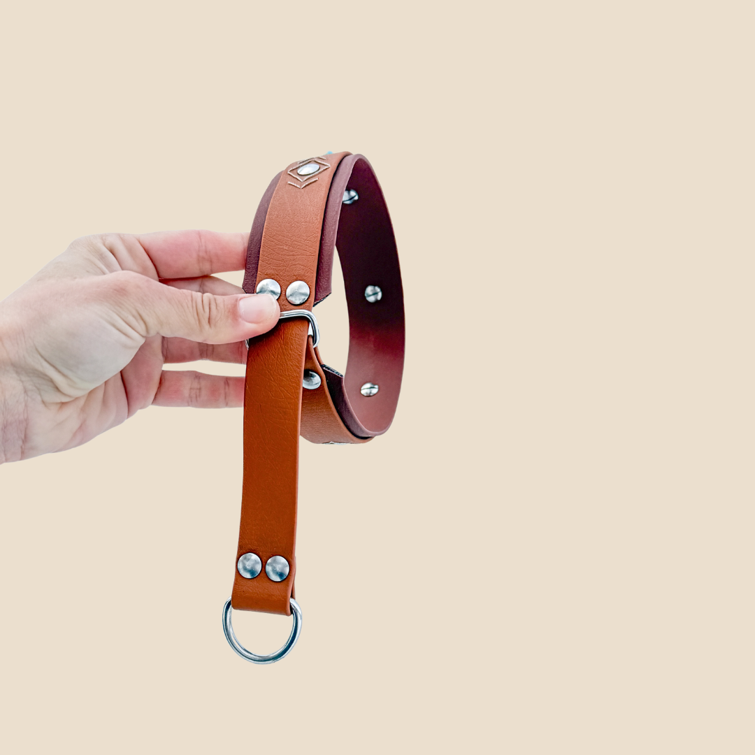 Le Galice - Martingale