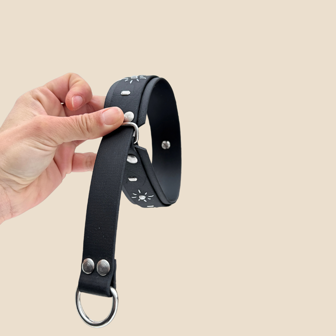 Le Orélys - Martingale