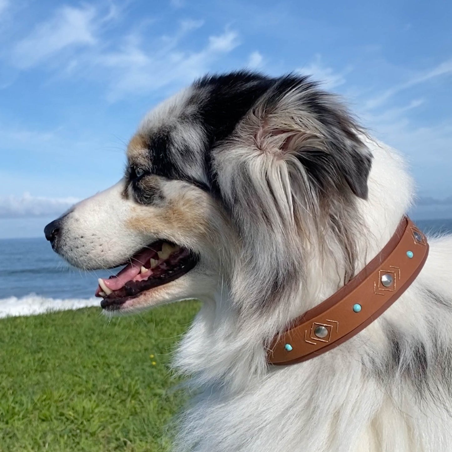 Le Galice - Martingale