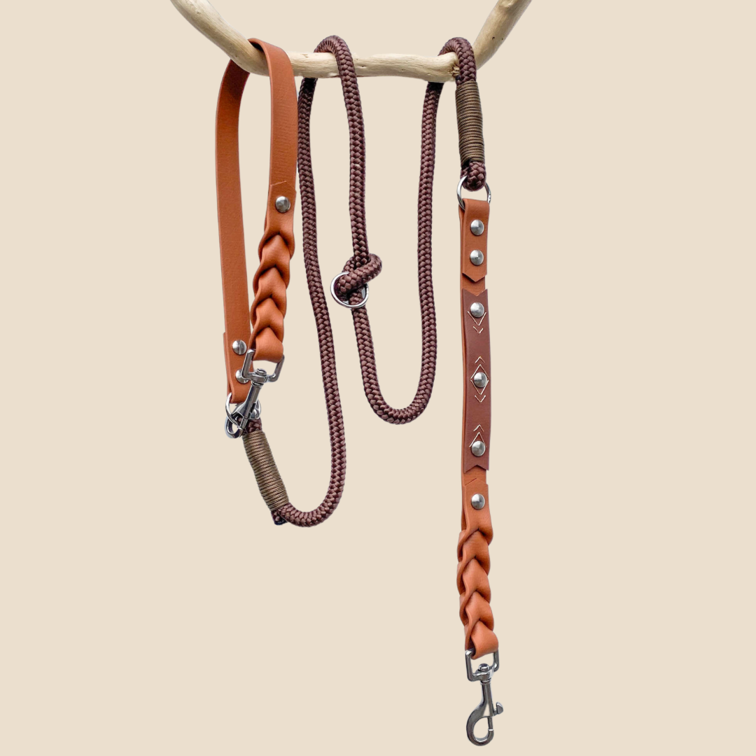 L'essentiel bi-matière