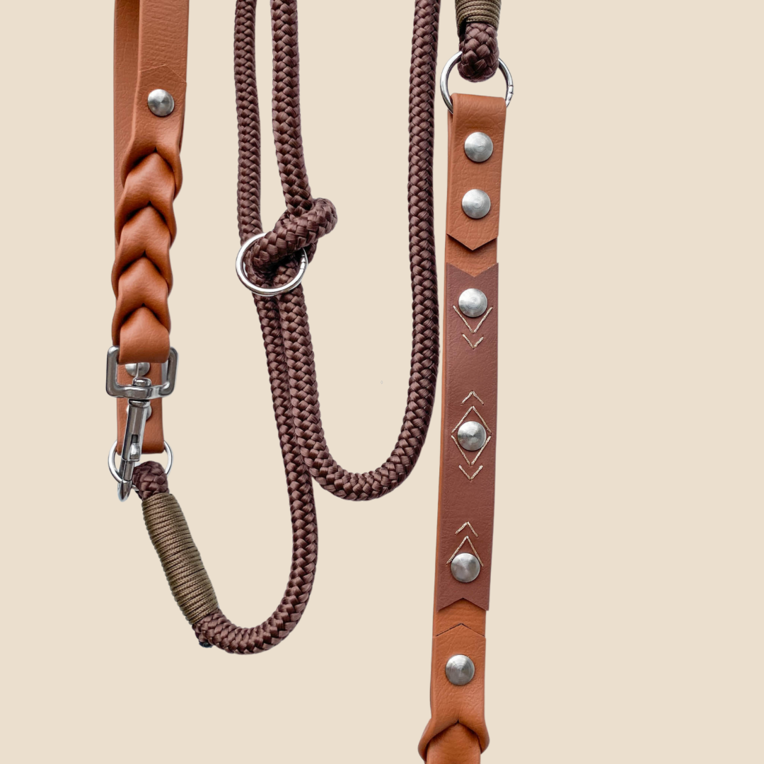 L'essentiel bi-matière