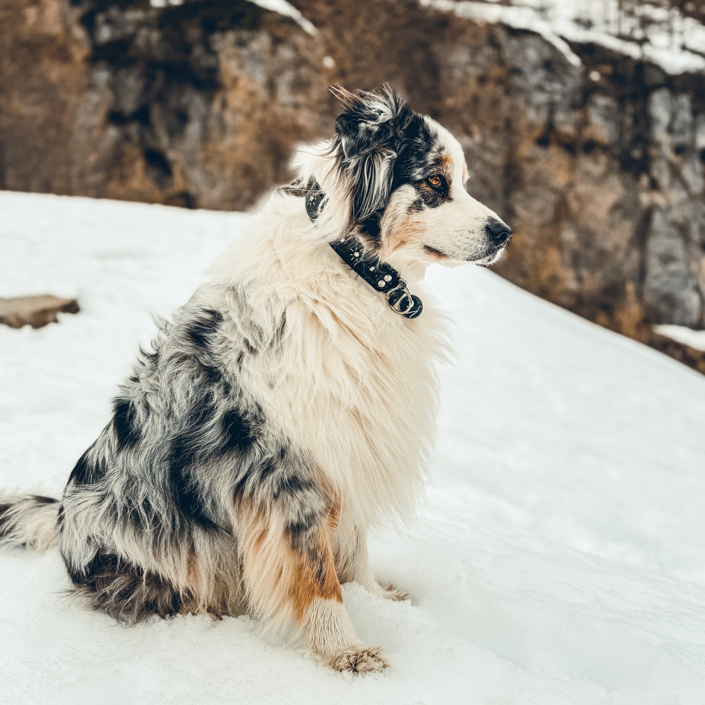 Le Orélys - Martingale
