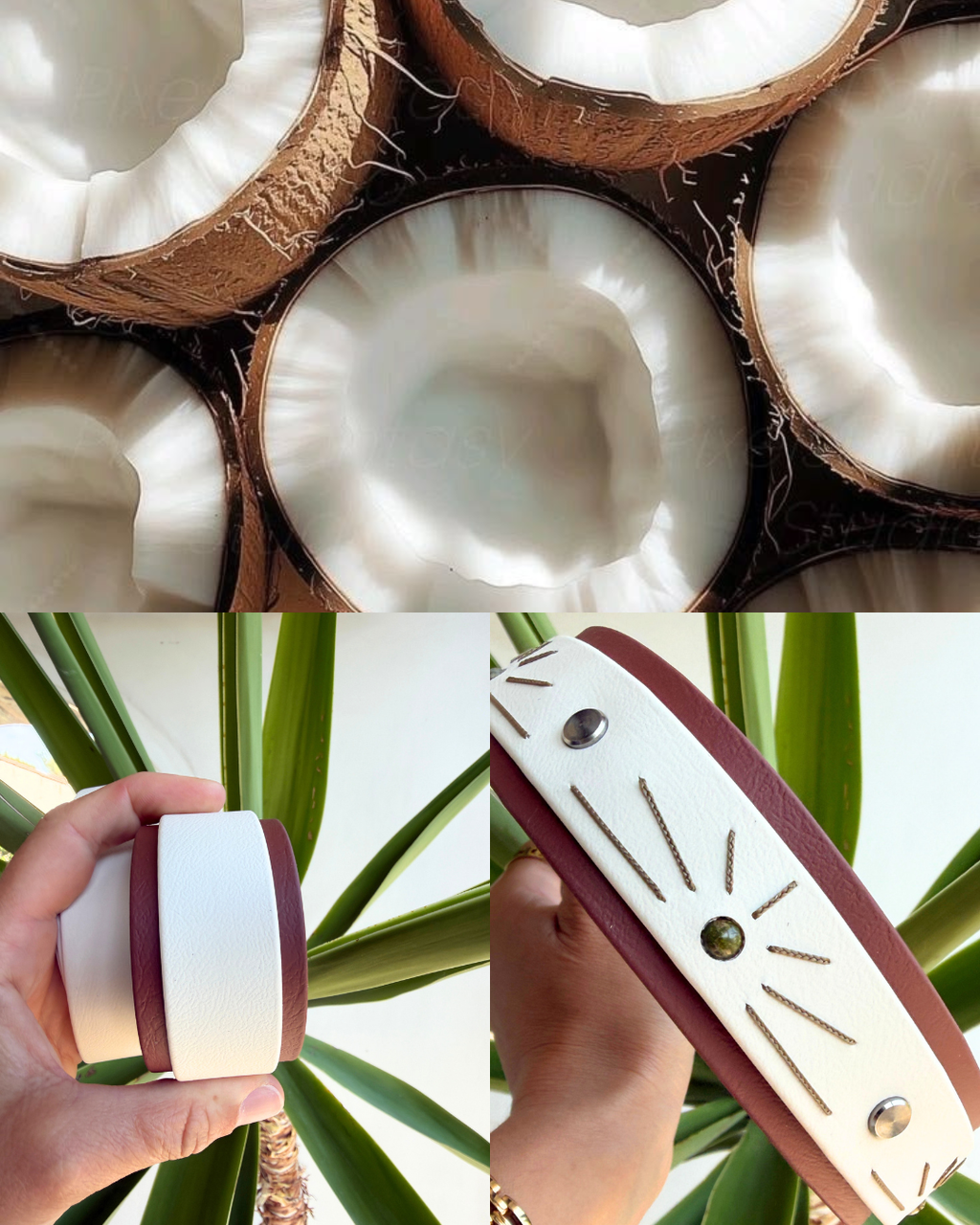 Coconuts Vibes