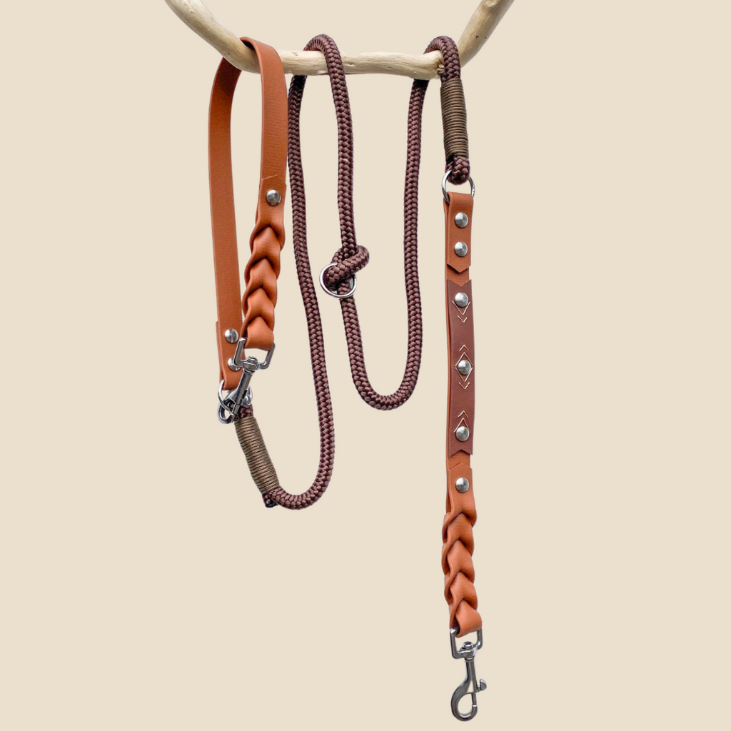 L'essentiel bi-matière